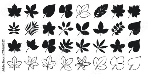 Collection of diverse leaf silhouettes and outlines in various shapes and sizes for design