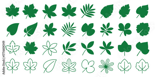 Collection of diverse green plant leaves and foliage elements in various styles and shapes