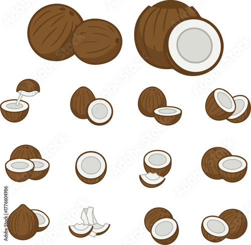 Coconut Set Fresh Tropical Fruit Vector Illustration