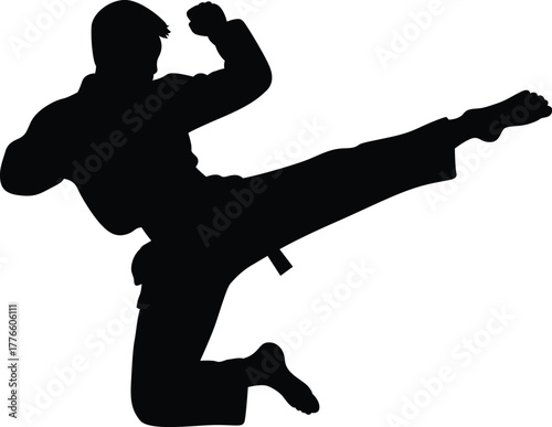 Silhouette of a martial artist performing a dynamic flying side kick in mid air