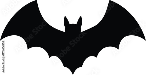 bat on white background