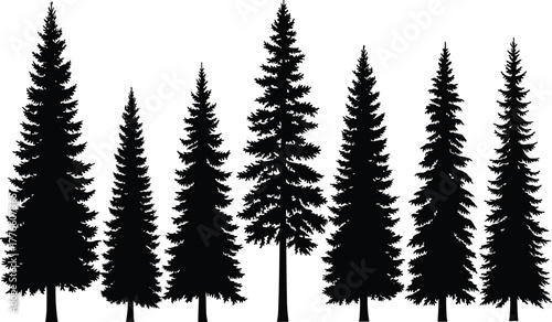 Pine tree silhouettes, evergreen forest, conifer trees, black vector, nature illustration, fir tree design, woodland landscape, outdoor scenery, winter background, ecology art