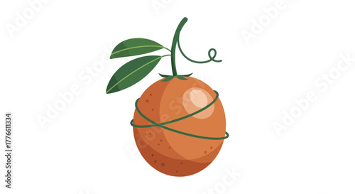 Fotografie Orange fruit with green leaves and vine on white background.