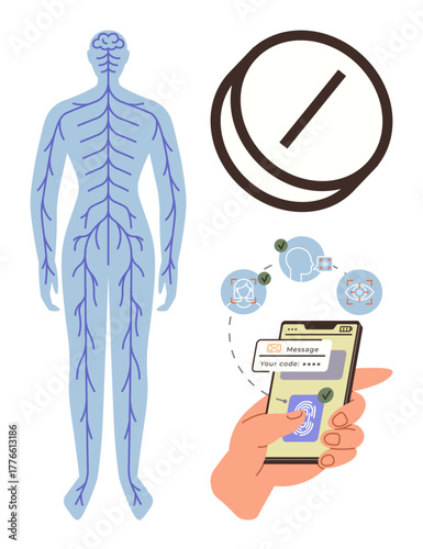 Human nervous system diagram, pill icon, hand using smartphone with biometric authentication. Ideal for health, technology, medicine, neural connection, security, data exchange innovation topics