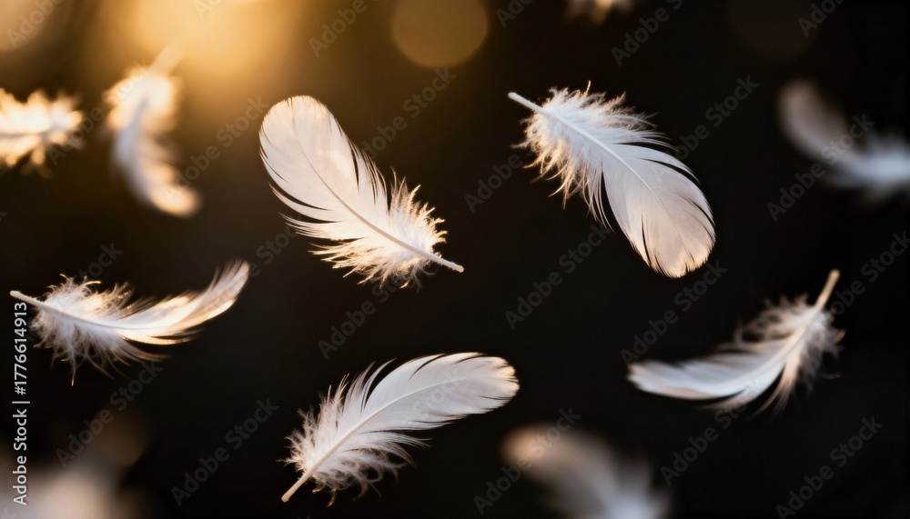Obraz premium Floating Feathers: Delicate white feathers drift in a soft, ethereal dance against a backdrop of golden light, evoking a sense of tranquility and lightness. 