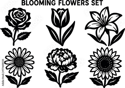 Blooming flowers set with rose tulip lily daisy carnation and sunflower icons vector collection for design and decoration