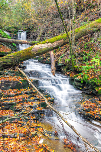 An unidentified waterfall. Ricketts Glen State Park. Pennsylvania