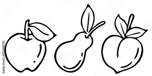 Vector illustration doodle hand drawn food fruit apple pear peach element set black liner pen