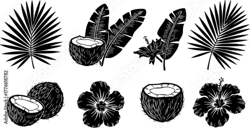 Tropical palm leaves coconut fruit and hibiscus flower vector set for summer design and decoration