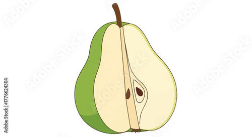 Halved Green Pear with Seeds and Stem Illustration.