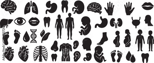 Vector floral seamless pattern set with flowers and butterflies icon design art collection