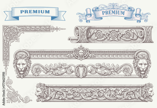 engraving illustration of victorian, rococo, baroque style elements. book cover, social media, t shirt design application