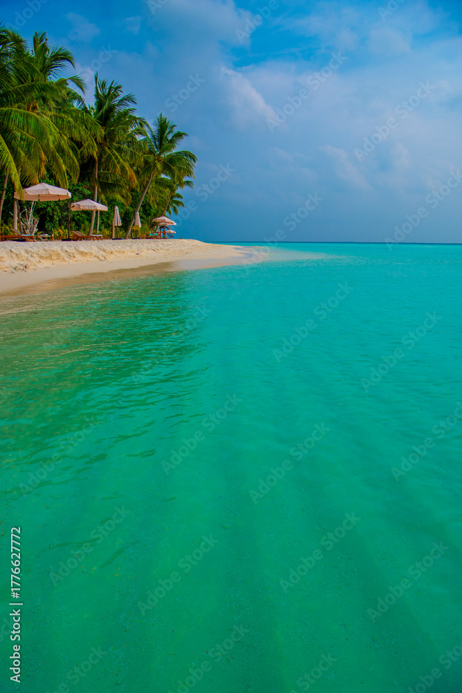 Fototapeta premium Tranquil closeup calm sea water waves with palm trees. Beautiful Panorama, Tropical island beach landscape exotic shore coast. Summer vacation, holiday amazing nature. Relax paradise, Maldives.