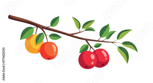Illustration of a tree branch with ripe apples and green leaves.
