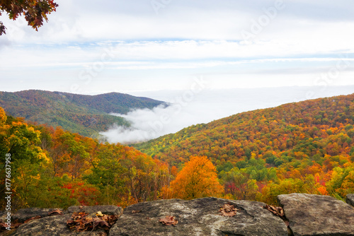 Shenandoah National Park in autumn foliage and fog - Virginia, United States of America

