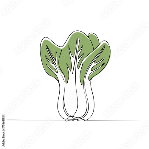 Bok Choy single line drawing fresh green vegetable illustration minimal art