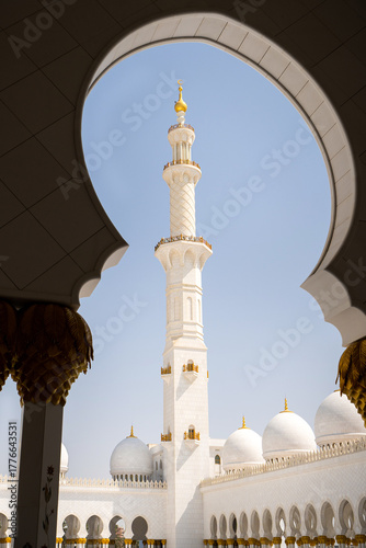 Portion of the domes Sheikh Zayed Mosque, Abu Dhabi	