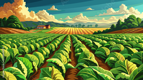 Very beautiful landscape of a tobacco field in Kentucky, showcasing neatly arranged rows of lush green tobacco plants under a bright sunny sky, capturing the essence of rural American farmland.