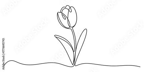 Elegant continuous one line drawing of a blooming tulip flower with smooth curves and stem. isolated on a clean background, symbolizing natural beauty, new growth, and simplicity. vector.