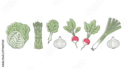 Hand drawn vegetables isolated on white background in vintage style set