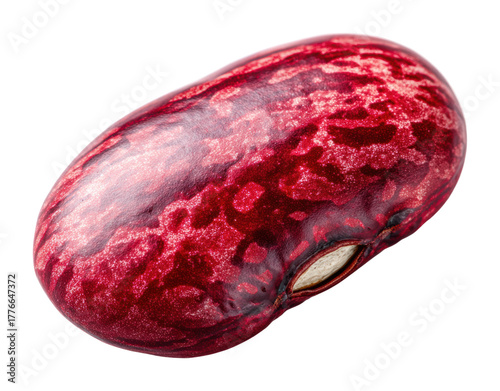 Harvesting red kidney beans farm field food natural light isolated on transparent background