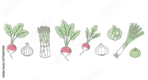Hand drawn vegetables isolated on white background in vintage style set