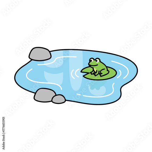 Cute frog sitting in pond with stones in peaceful nature scene