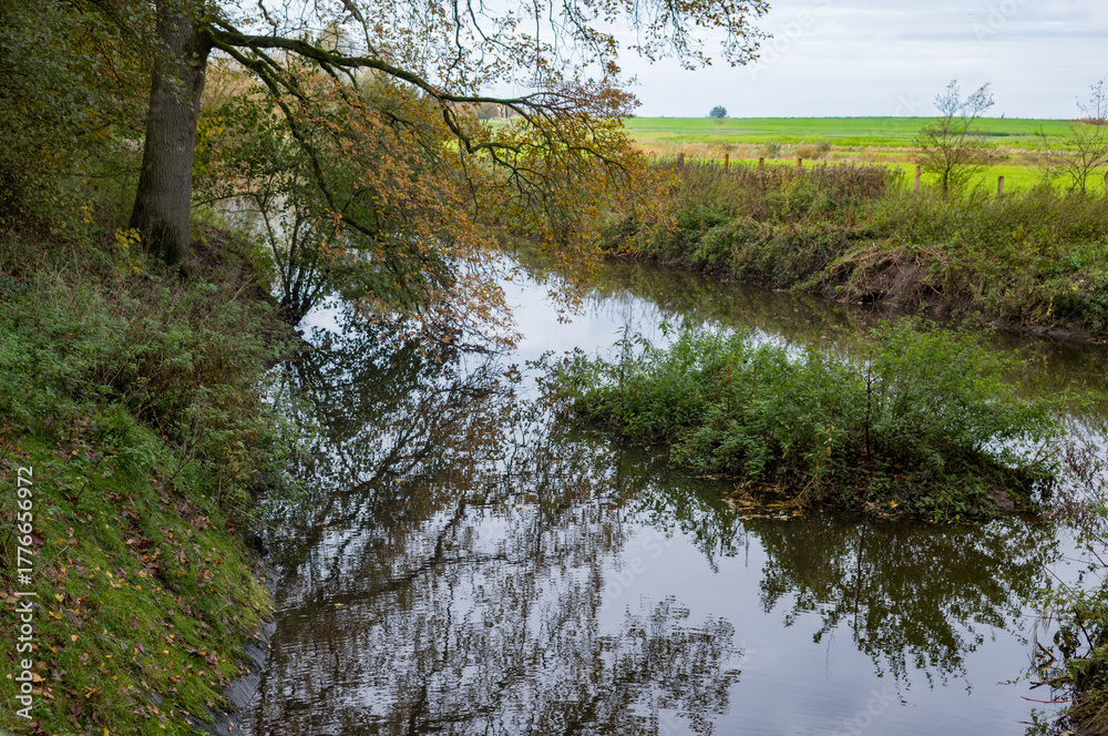 Obraz premium Stream flowing through autumn forest landscape reflecting trees