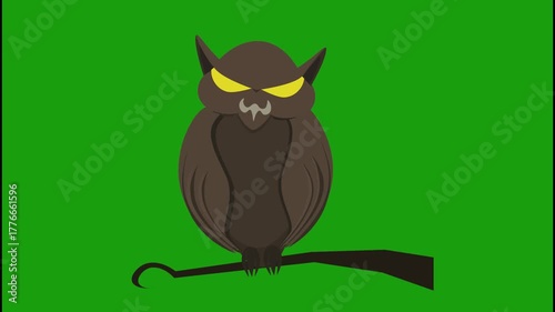 Animated flying owl on a green screen background. Perfect for Halloween, horror scenes, spooky intros, and wildlife motion graphics with chroma key for creative video editing.