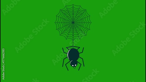 Creepy spider crawling on web with green background. Ideal for Halloween, spooky intros, horror videos, and motion graphic overlays using chroma key effect.