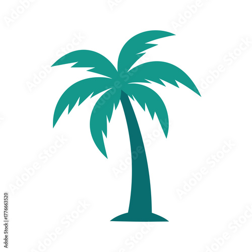 palm tree vector illustration