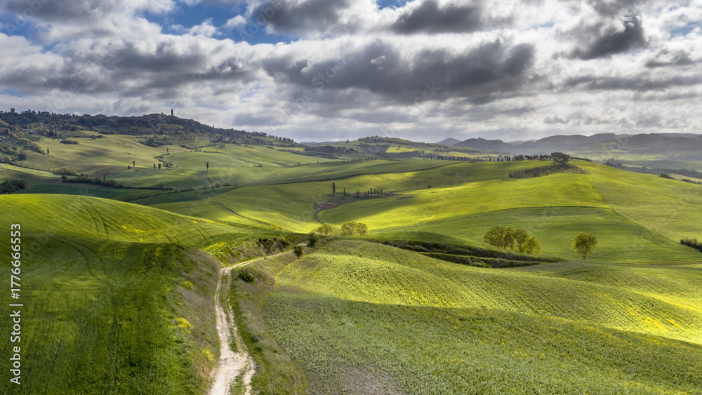 Naklejka premium Tranquil landscape Tuscany