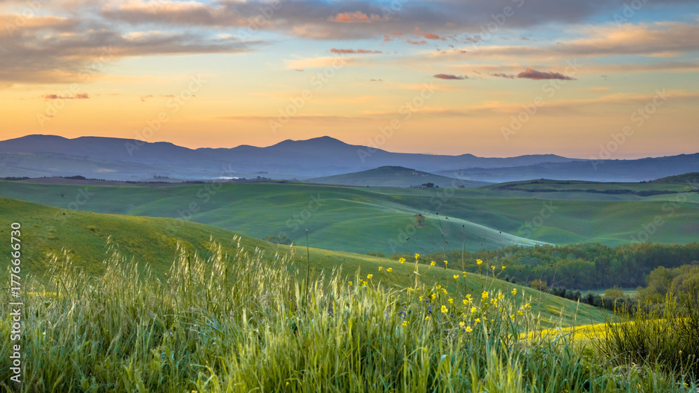 Obraz premium Vivid landscape Tuscany