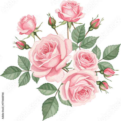 Pink watercolor rose bouquet with green leaves and buds