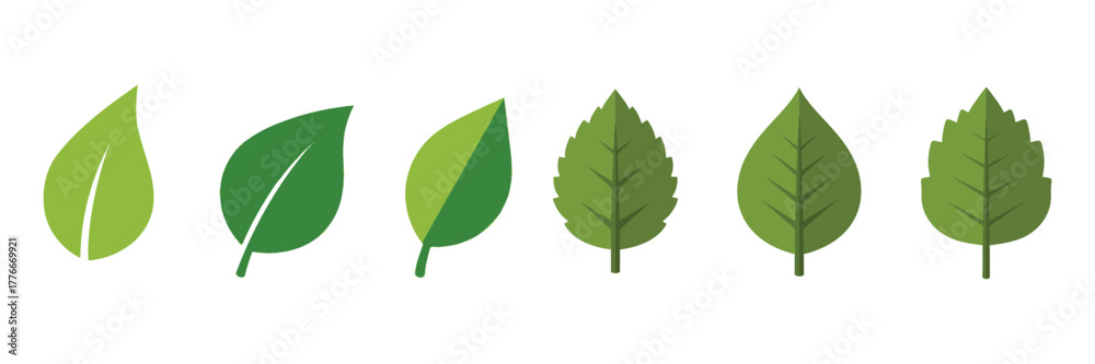 Fototapeta premium Set of six green leaves, showcasing various shapes and textures, perfect for naturethemed designs and botanical illustrations on transparent background