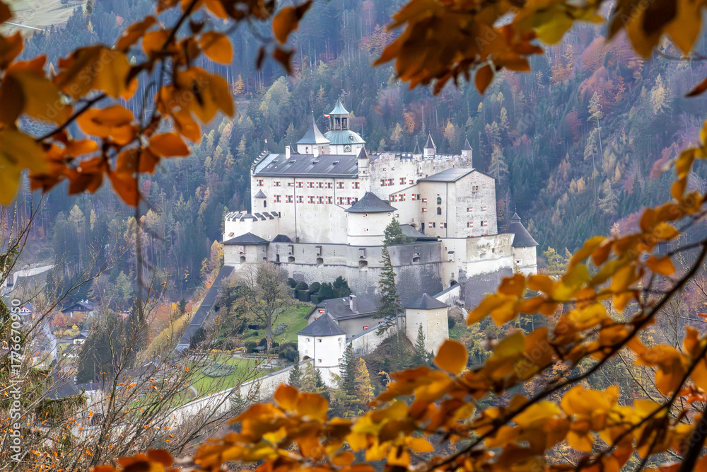 Obraz premium Photowalk - Hohenwerfen Castle - Falconry Austria - October 30, 2025