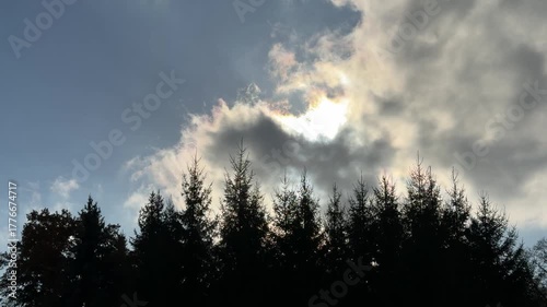 Dark forbidding sky clouds floating over forest at night.