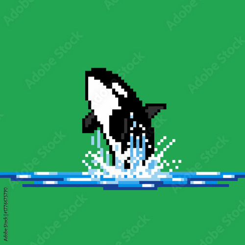 A pixel art illustration of a black and white orca whale breaching from the water against a solid green background.