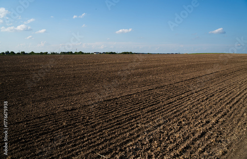 Freshly plowed brown soil field under clear blue sky in rural farmland landscape