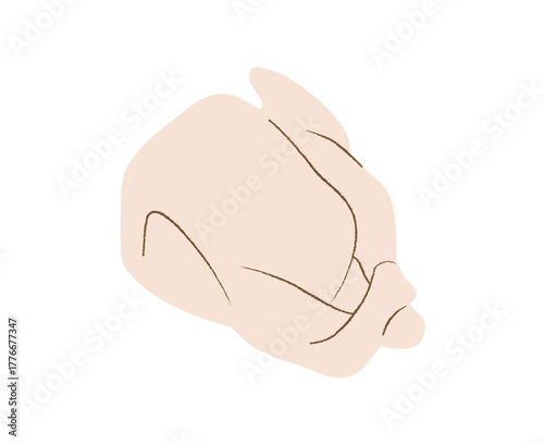 Raw turkey on cutting board isolated on white background