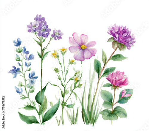 Hand-painted watercolor wildflowers on white background, perfect for stationery, wall art, and fabric prints.