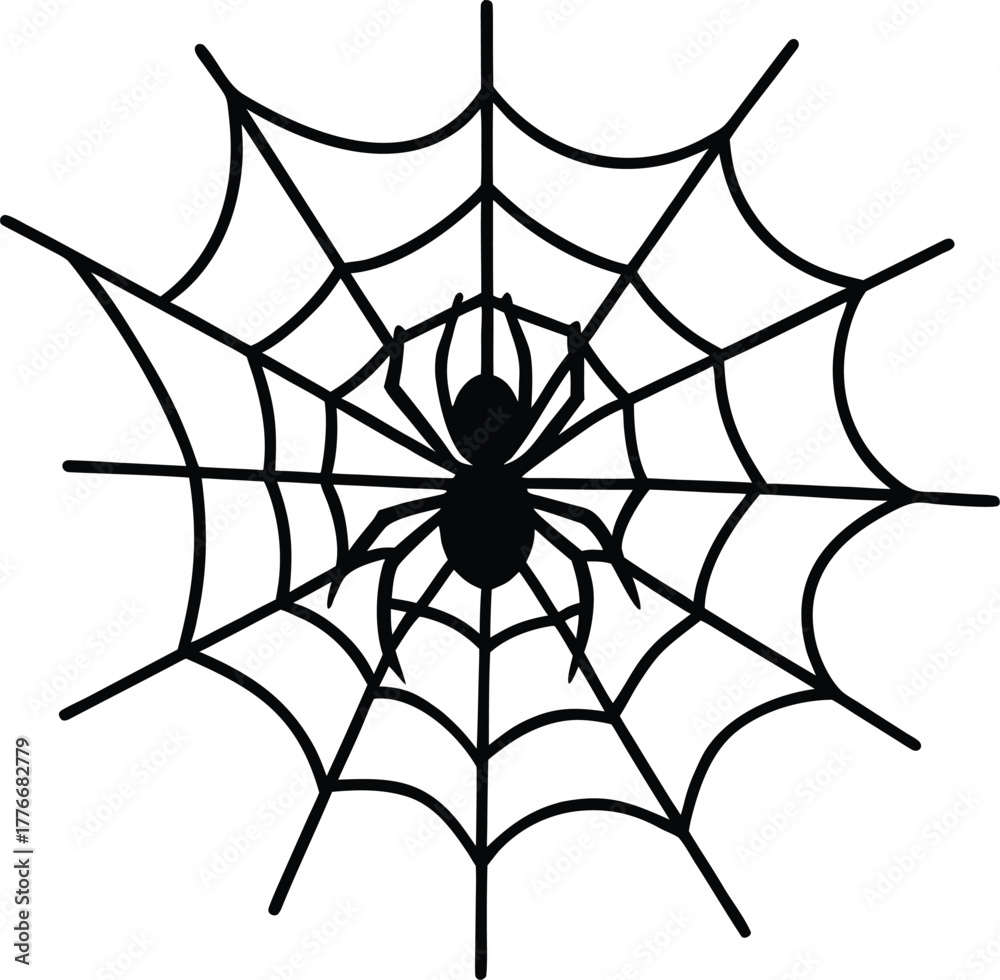 Fototapeta premium Spider web with spider sketch line art vector illustration