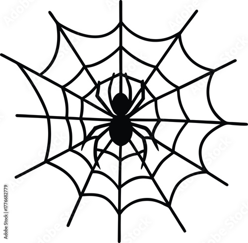 Spider web with spider sketch line art vector illustration