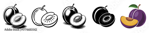 plum with slice icon set in engraving, outline, silhouette and color, vector illustrations for fresh fruit and healthy eating
