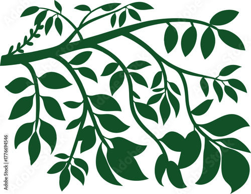 Green vine branch with hanging leaves and tendrils on white background. Natural botanical illustration perfect for eco design, jungle art, and tropical nature themes. Ideal for decoration and digital 