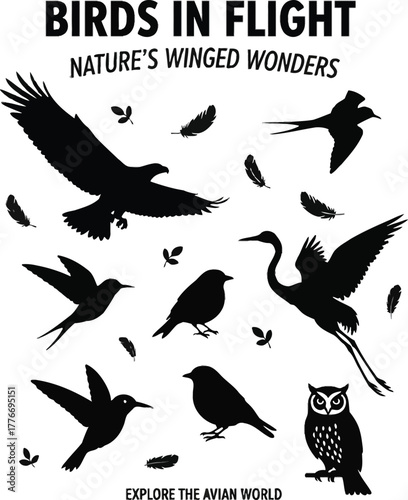 Vector silhouette set of flying birds illustration