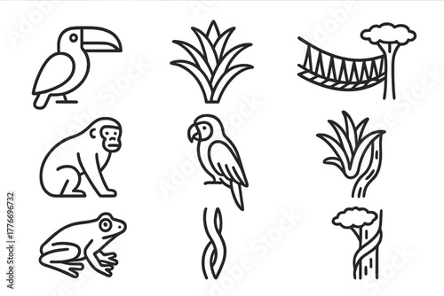 Rainforest Canopy Icons. Line style icons of Rainforest Canopy: Toucan, Bromeliad, Canopy Walkway, Howler Monkey, Macaw, Epiphyte,