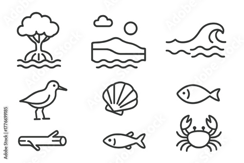 Mangrove Sandbar Icons. Line style icons of Mangrove Sandbar: Mangrove Tree, Exposed Land, Tide, Seabird, Shell, Small Fish,