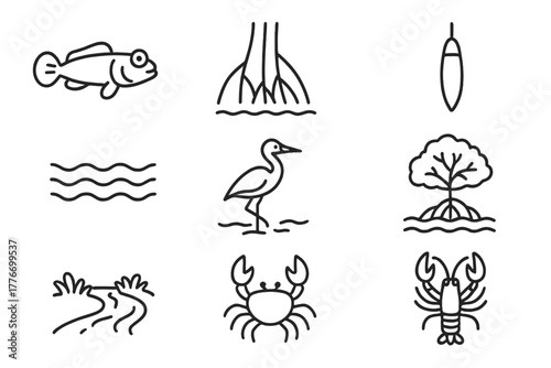 Mangrove Forest Icons. Line style icons of Mangrove Forest: Mudskipper, Prop Roots, Seed Pod, Tide, Heron, Mangrove Tree, Estuary,
