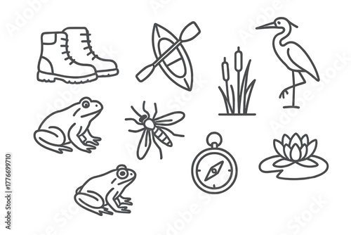 Adventure Marsh Icons. Line style icons of Adventure Marsh: Hiking Boots, Canoe, Reeds, Heron, Frog, Mosquito, Compass, Water Lily
